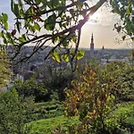 In * Comblain-au-Pont