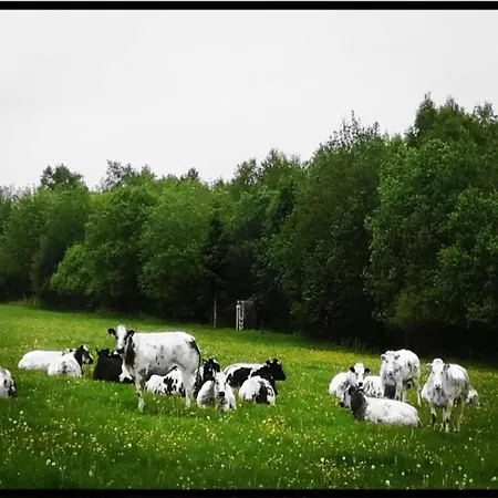 بيت للعطل With Garden Beside The Ourthe And The Ravel *