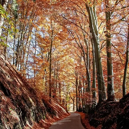 With Garden Beside The Ourthe And The Ravel بيت للعطل Comblain-au-Pont